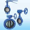 VAN BƯỚM LÁ VAN INOX DN50-DN300